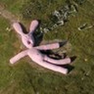 Meet your Posher, Kristin